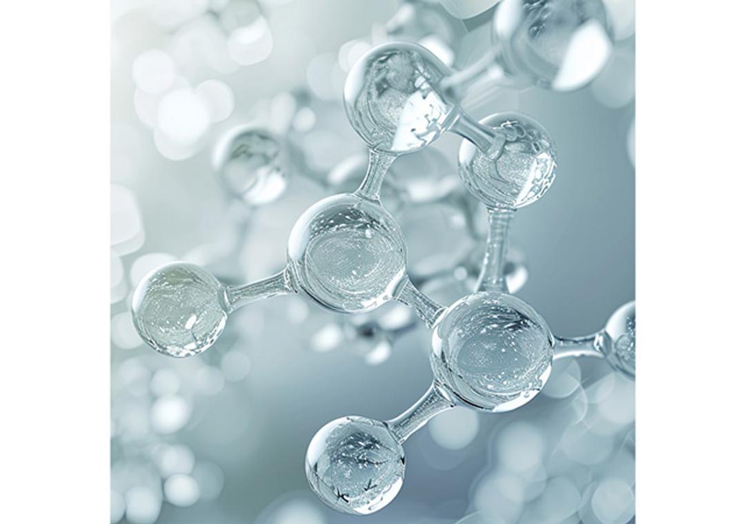 stable isotope labeled amino acids