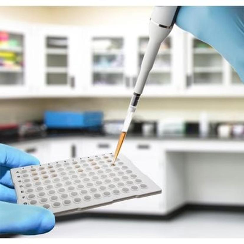 Labcon filter tip transferring a sample during a PCR experiment.