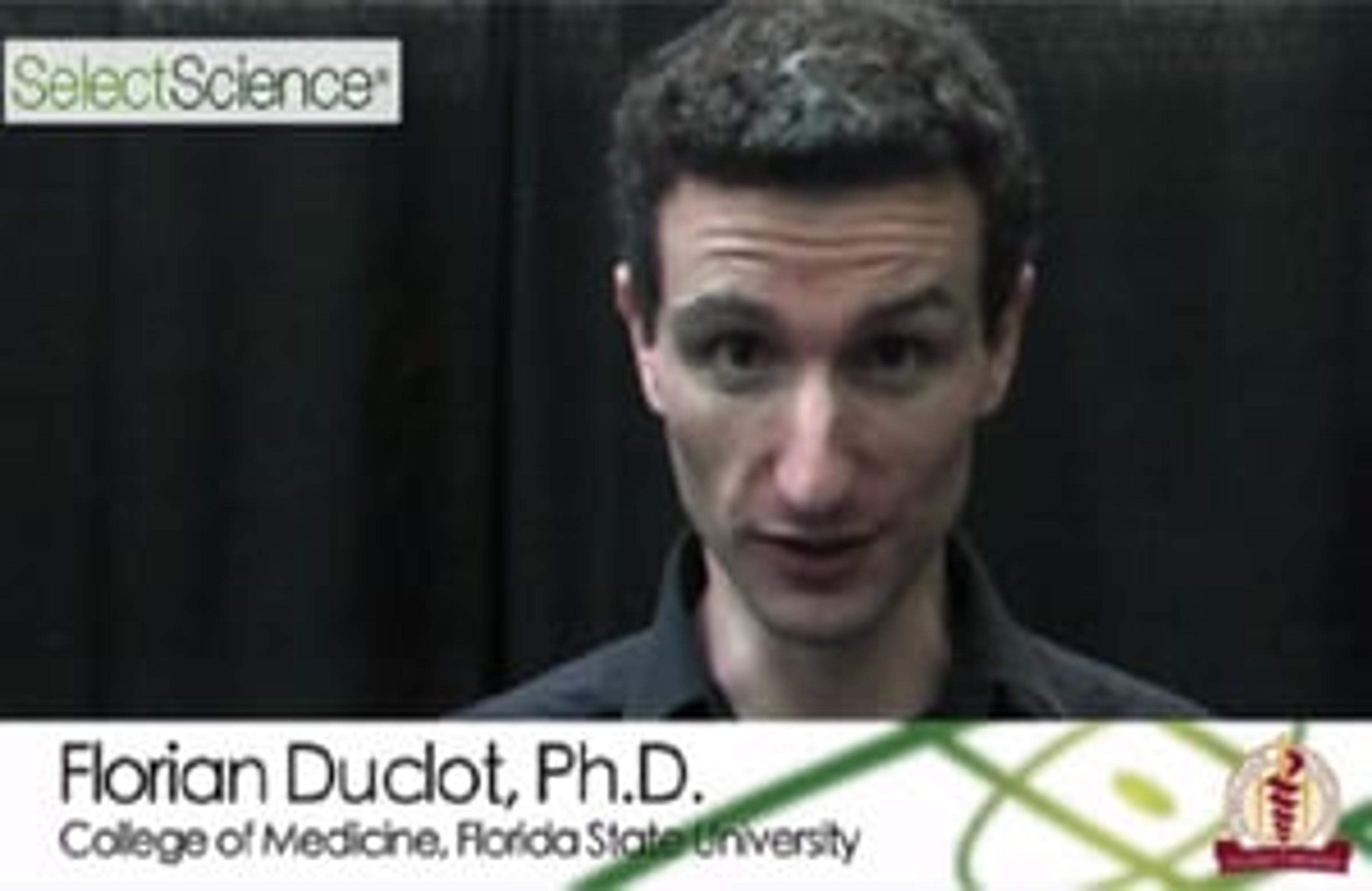 Using Epigenetics to Investigate Depression Using Epigenetics to Investigate Depression