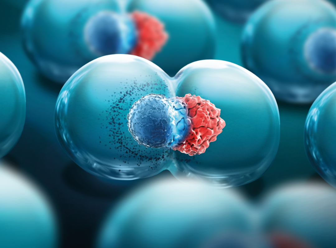 AI in drug discovery