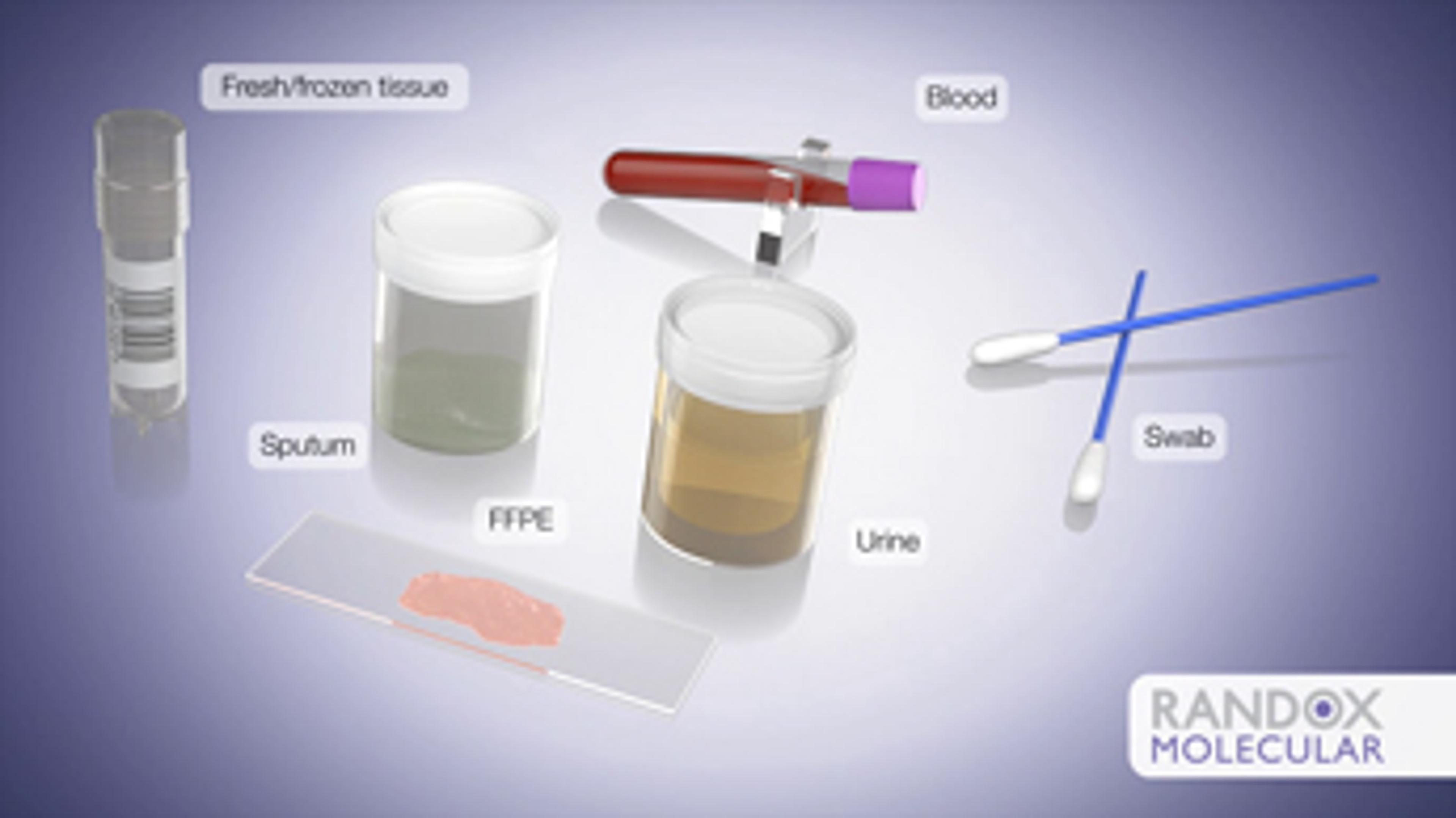 Randox Molecular Diagnostic Tests Randox Molecular Diagnostic Tests