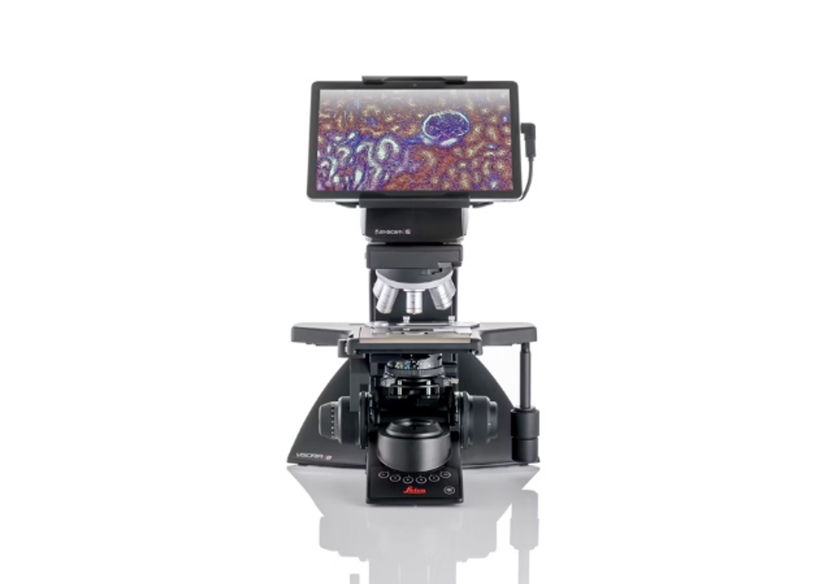 Buy Visoria B Digital Laboratory Microscope for Histopathology or ...
