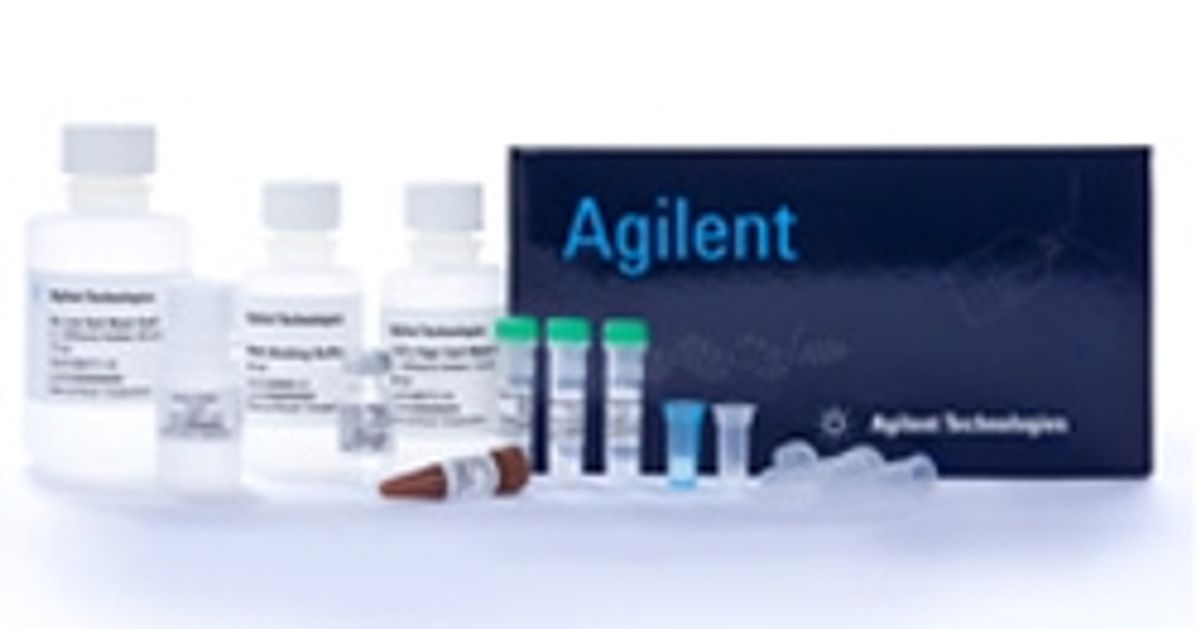 Absolutely Total Rna Purification Kits