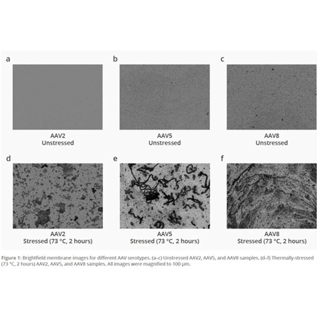 Viral vector aggregation