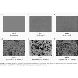 Viral vector aggregation