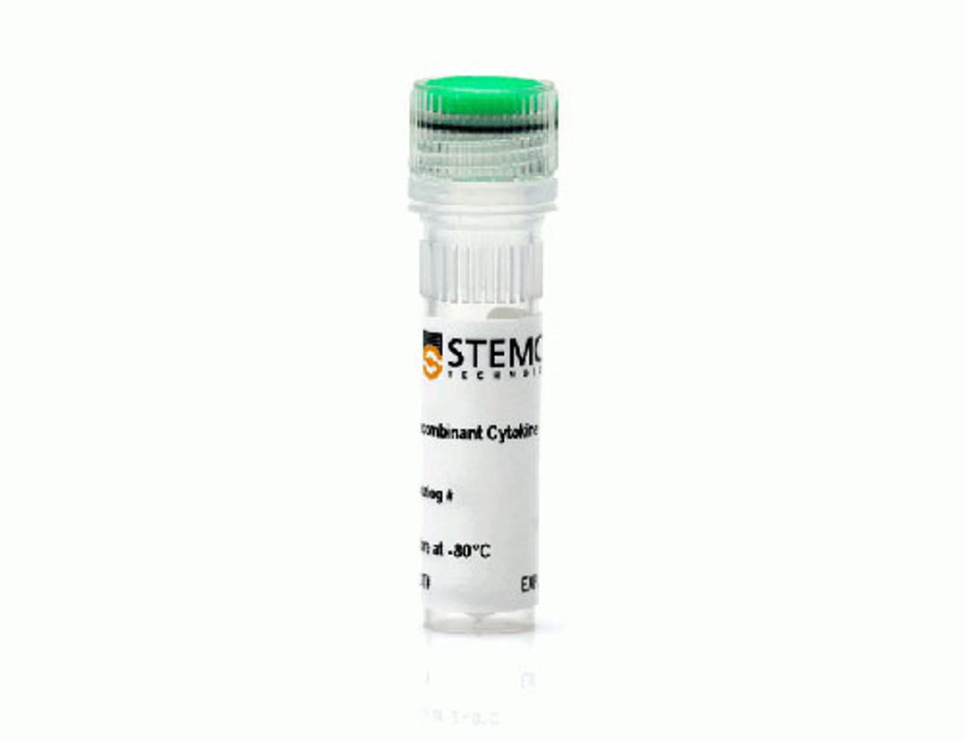 Human Recombinant GM-CSF 