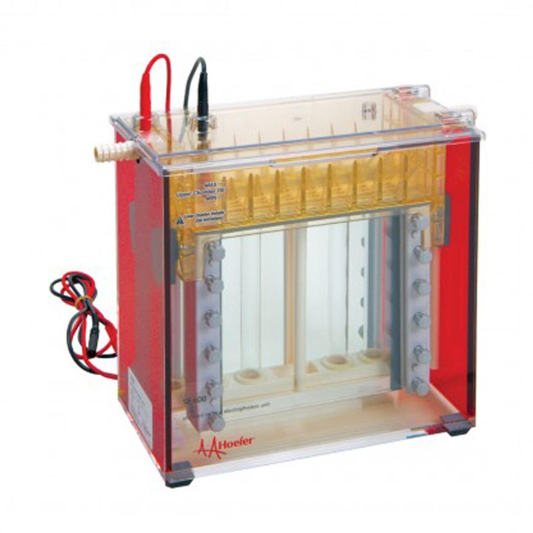 SE600 Standard Dual Cooled Vertical Protein Electrophoresis 