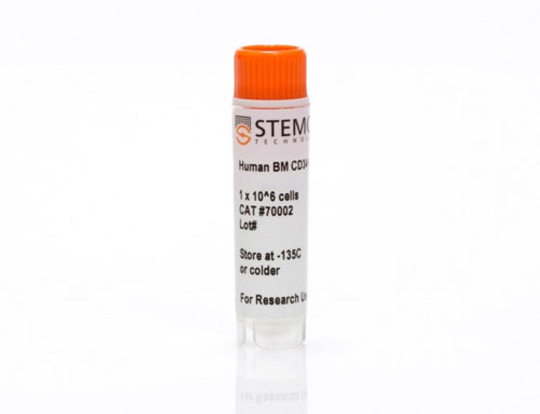 Human Bone Marrow CD34+ Cells, Frozen