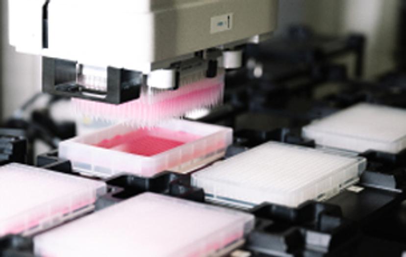 High throughput screening: 5 ways to improve your cell assays