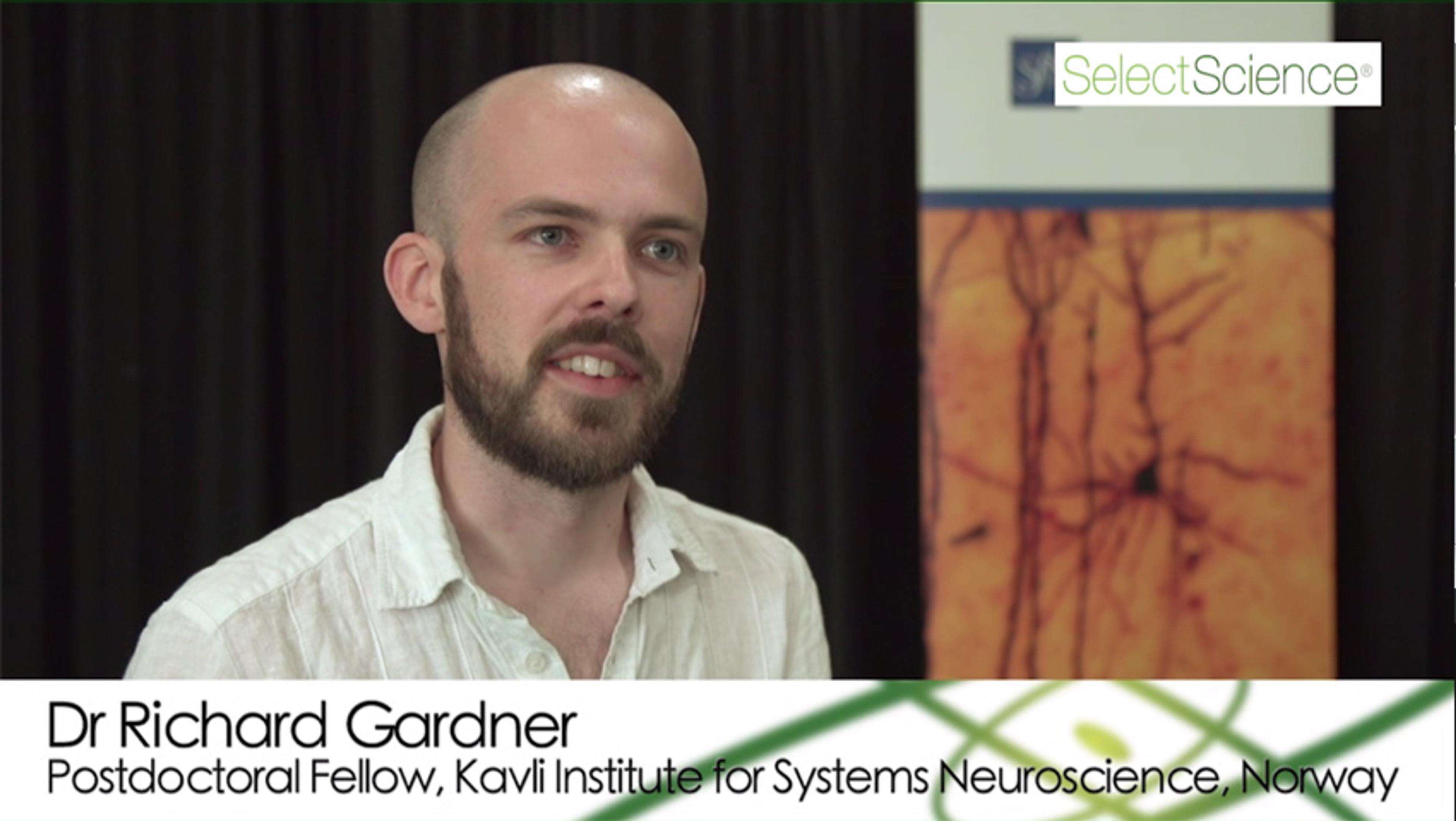 Learn How Neuronal Firing Patterns Shape Memory & Behavior Learn How Neuronal Firing Patterns Shape Memory & Behavior