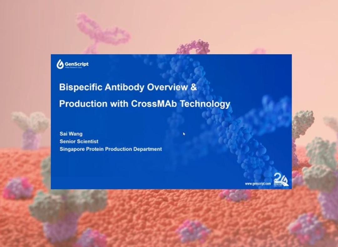 GenScript - Bispecific antibody overview with CrossMab tech