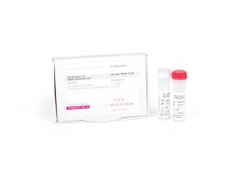 Thermostable cDNA synthesis kit