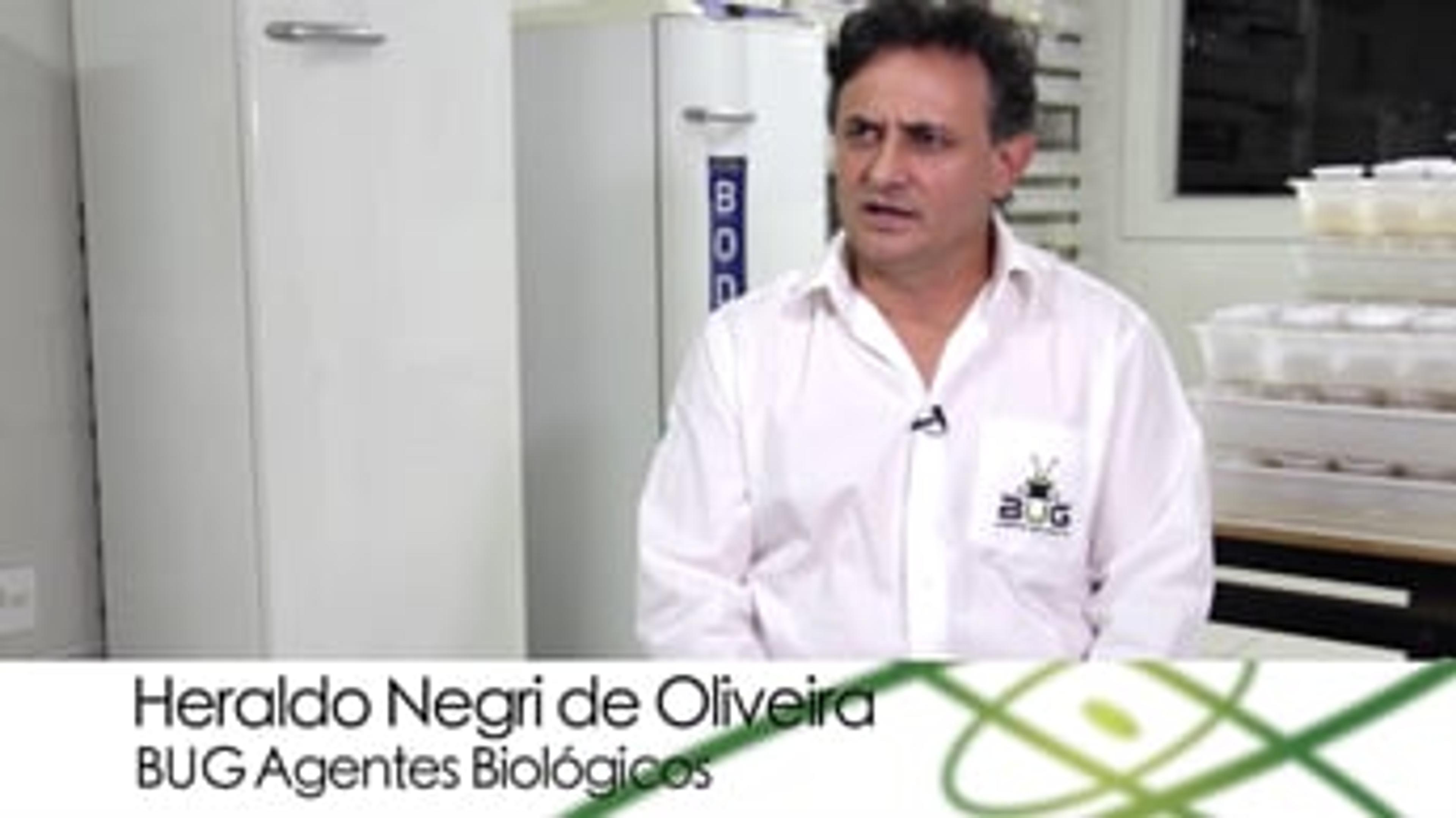 Killer Wasps Save Brazilian Farming – Portuguese Version Killer Wasps Save Brazilian Farming – Portuguese Version