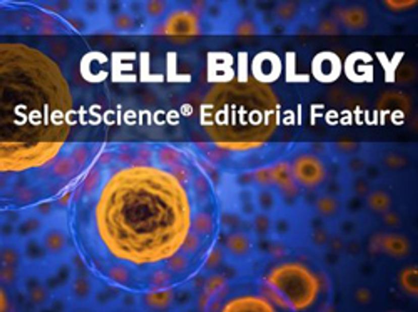 Cell biology SelectScience special feature - best of life sciences 2019