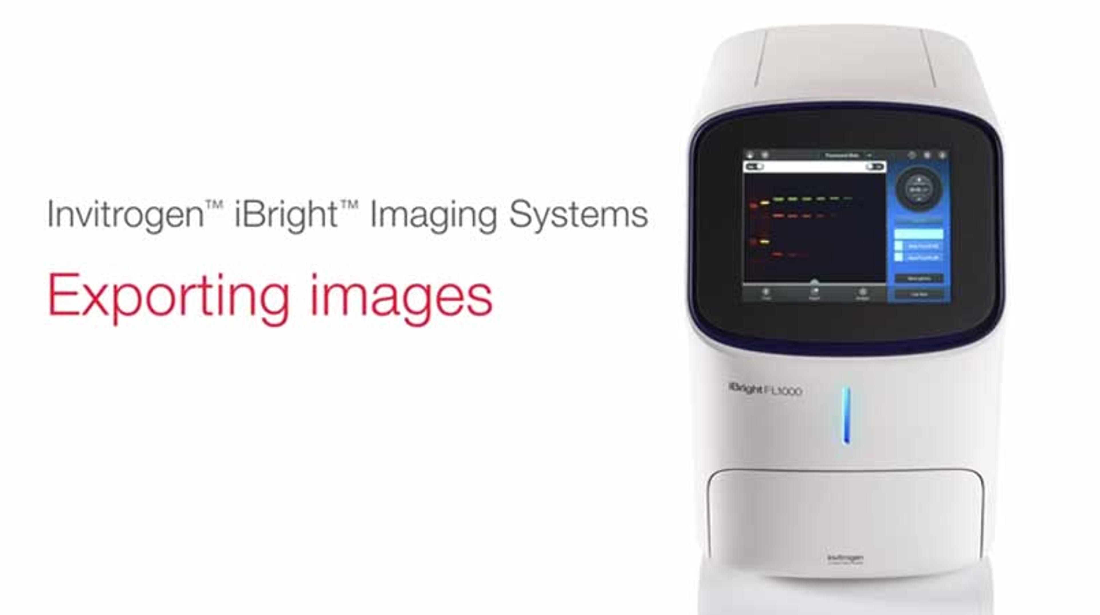 Exporting Images with Invitrogen iBright Imaging Systems Exporting Images with Invitrogen iBright Imaging Systems