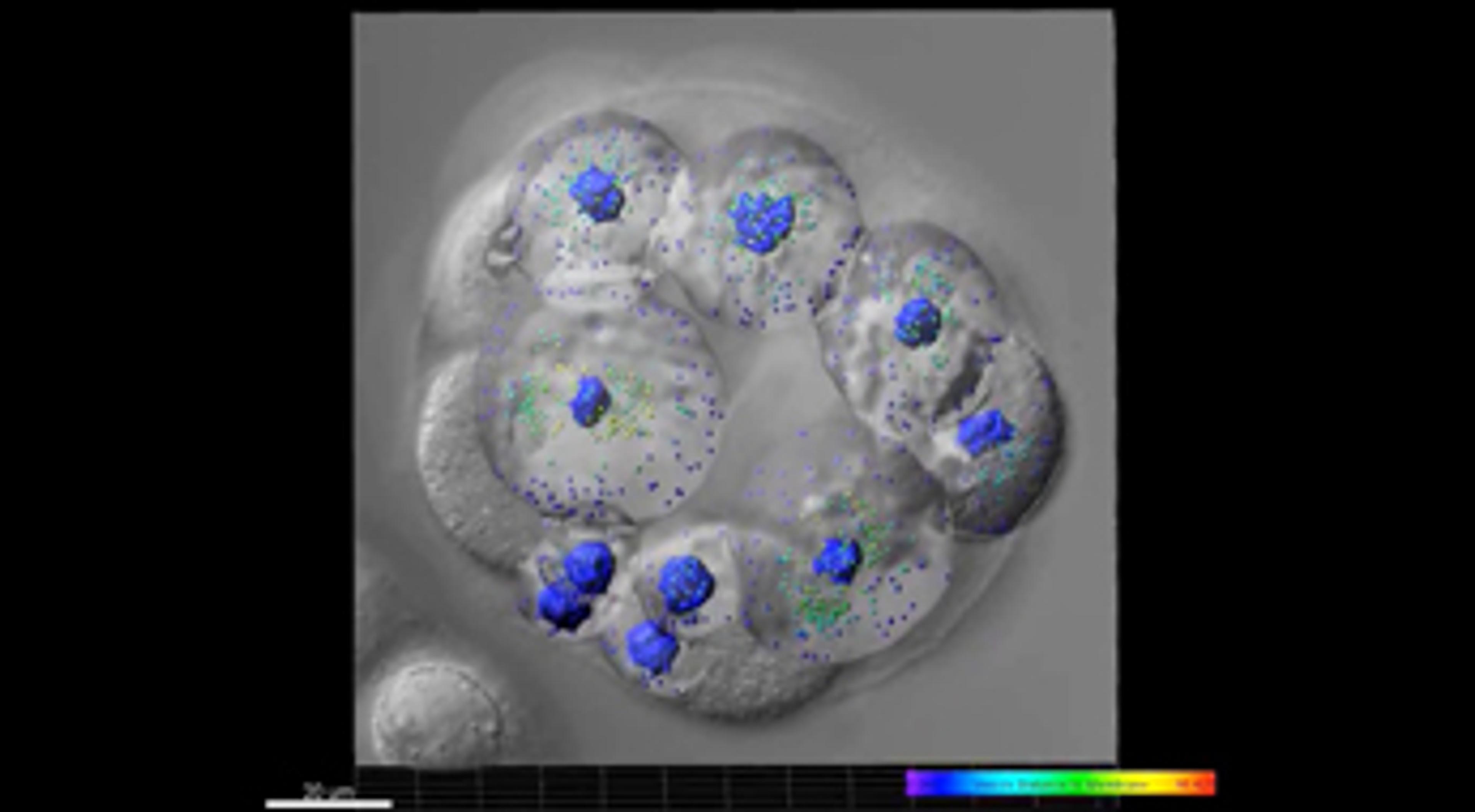 Andor's Essential Cell Biology Microscopy Toolkits Andor's Essential Cell Biology Microscopy Toolkits