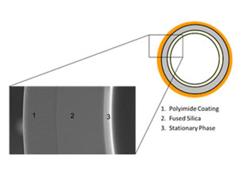 Figure 2: The cross-section of a capillary GC column. Image courtesy of Phenomenex.