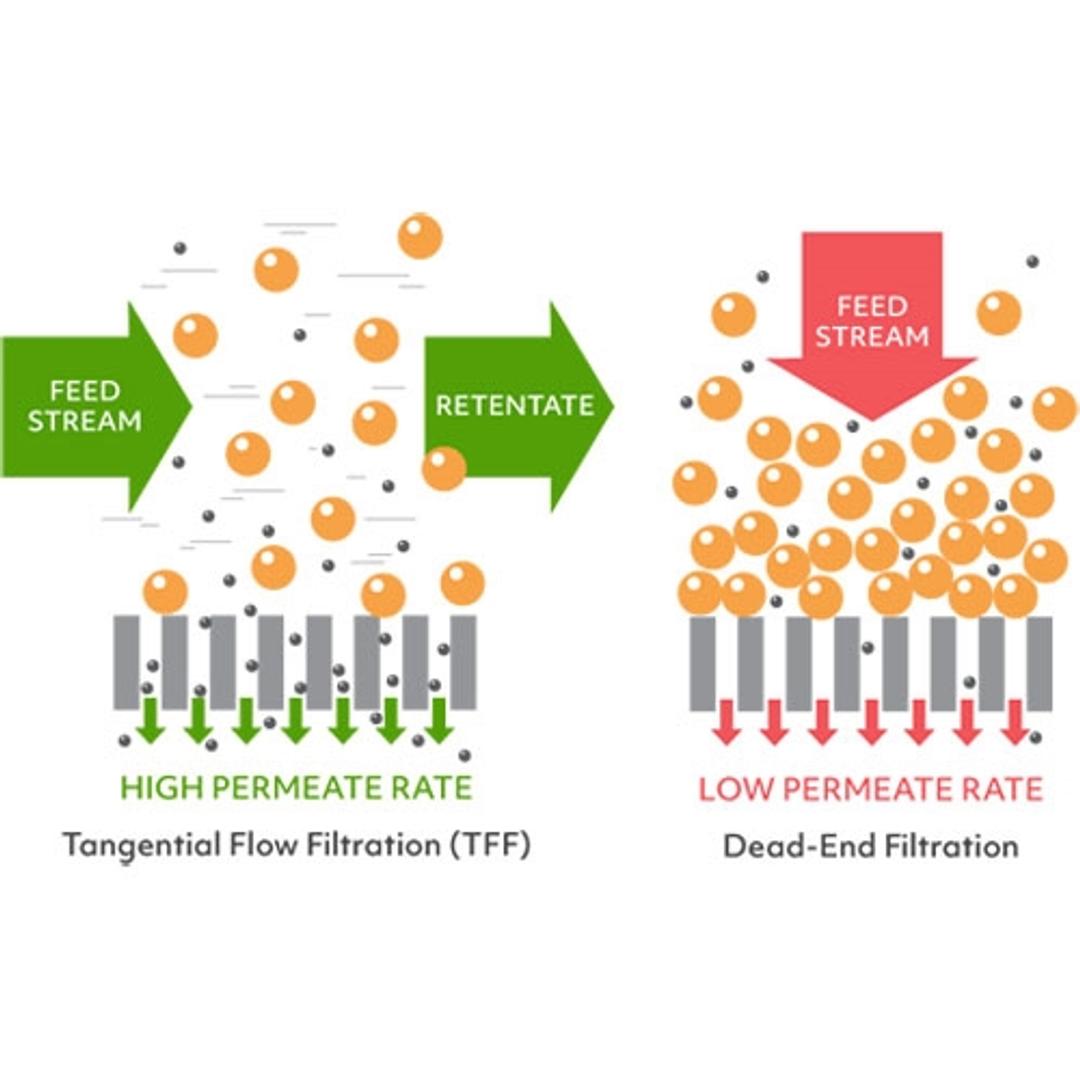 Concentrate samples faster with TFF