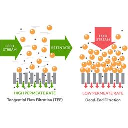 Concentrate samples faster with TFF