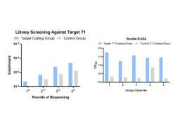 Phage Display AlVHHL-2 Alpaca Naïve Single Domain Antibody Library Screening Service