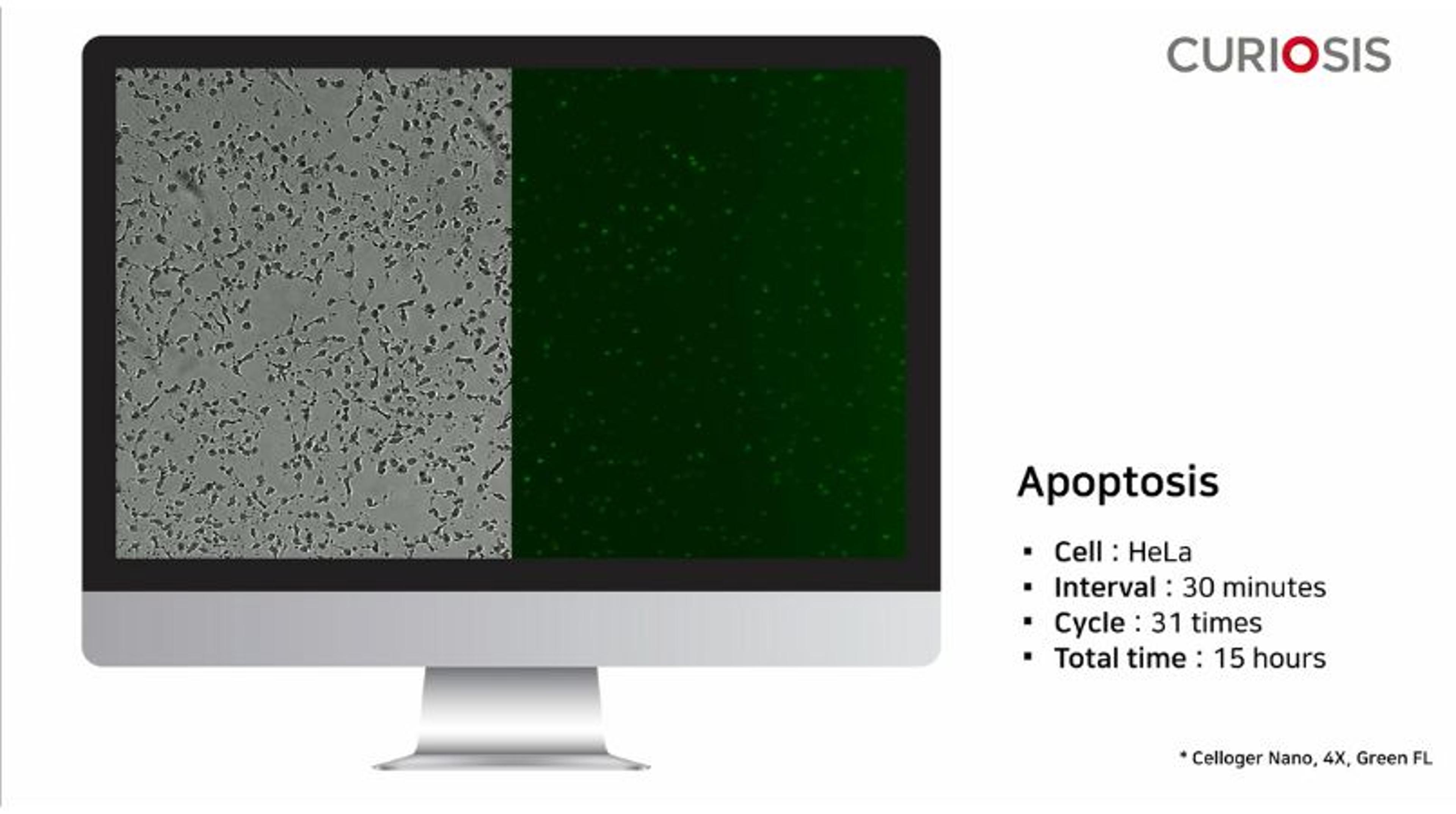 Celloger Nano application: Apoptosis Celloger Nano application: Apoptosis