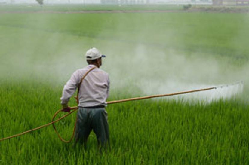 man spraying herbicides on crop field