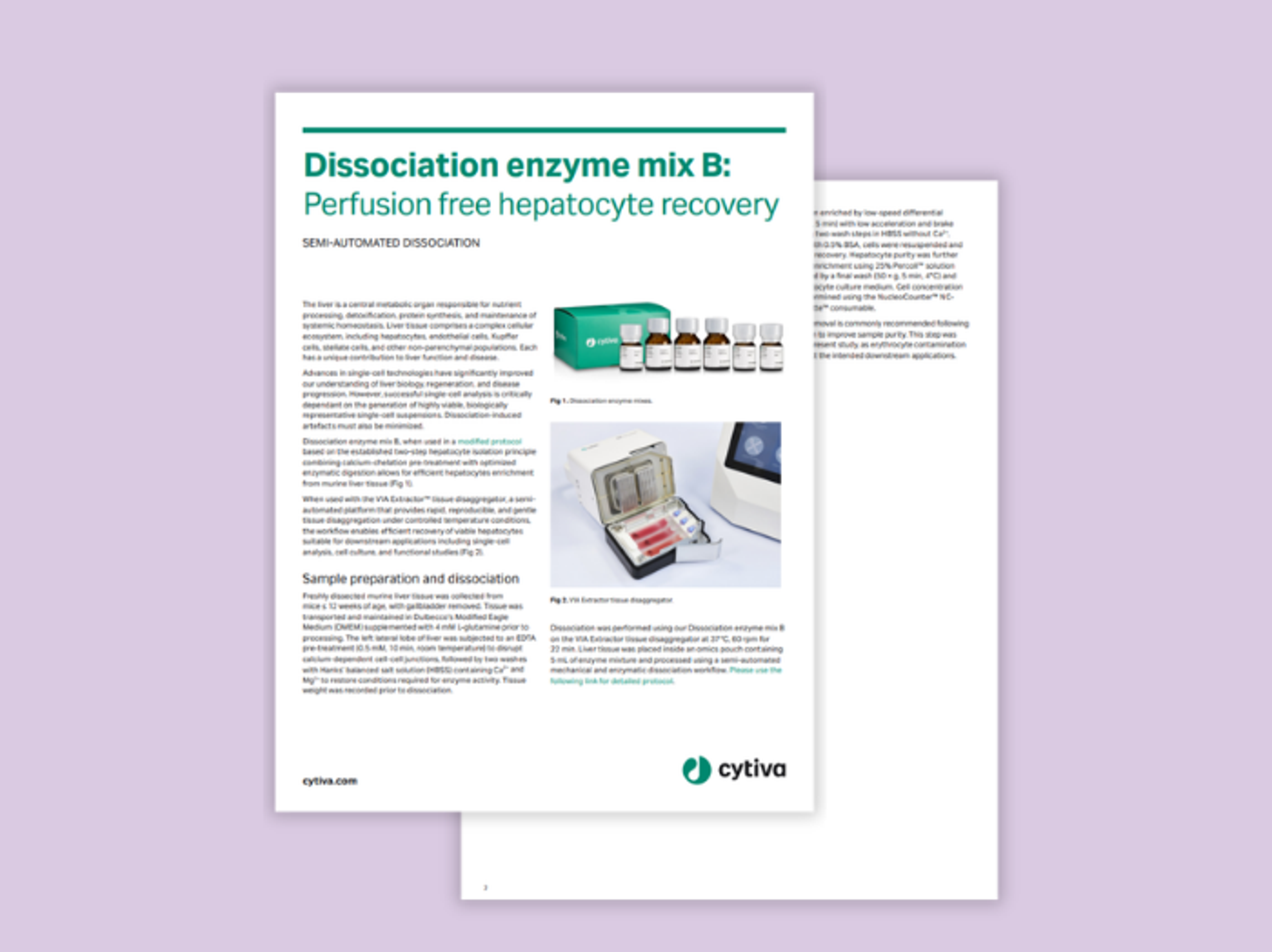 Perfusion-free hepatocyte recovery using Dissociation Enzyme Mix B