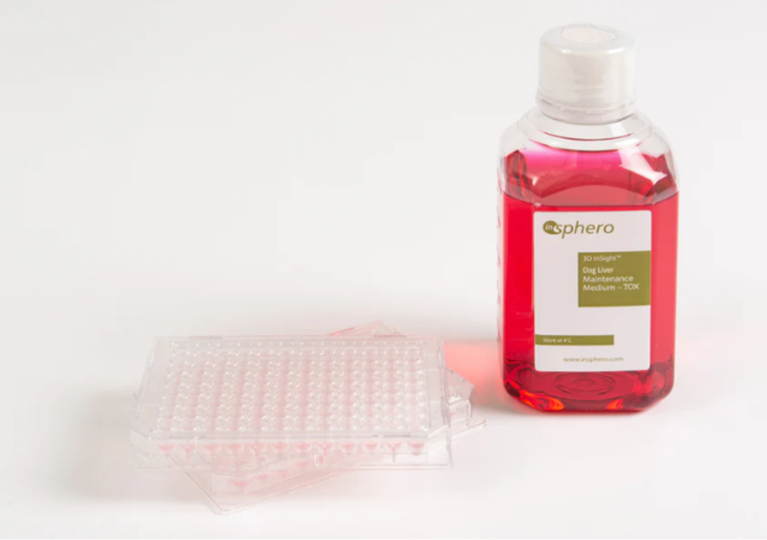 3D InSight™ Beagle Dog Liver Microtissues
