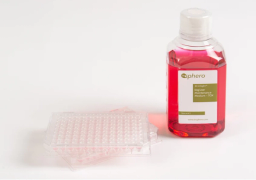 3D InSight™ Beagle Dog Liver Microtissues