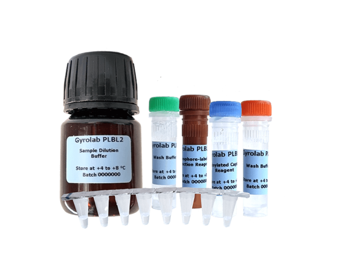 Precision Plus Protein™ Dual Color Standards, 500 µl | SelectScience