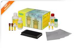 Bio-Plex SARS-CoV-2 Serology Assays