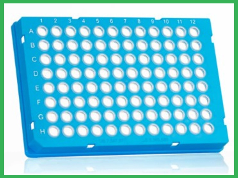 FrameStar® 96 Well Skirted PCR Plate