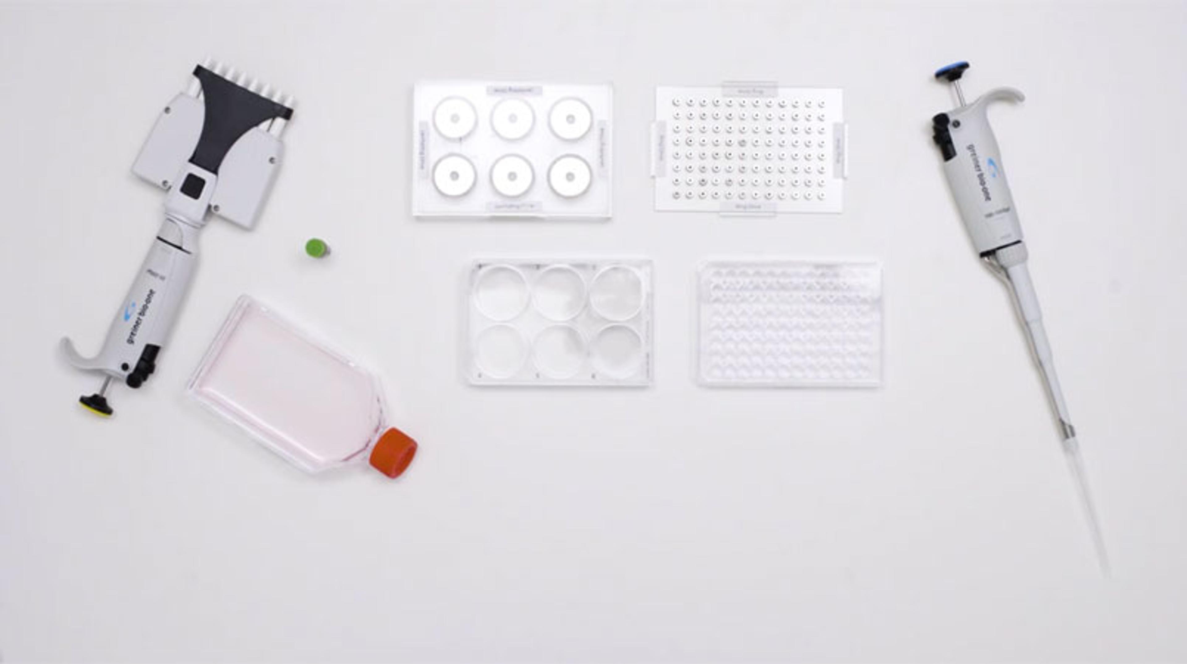 3D Wound Healing Bio Assay 3D Wound Healing Bio Assay