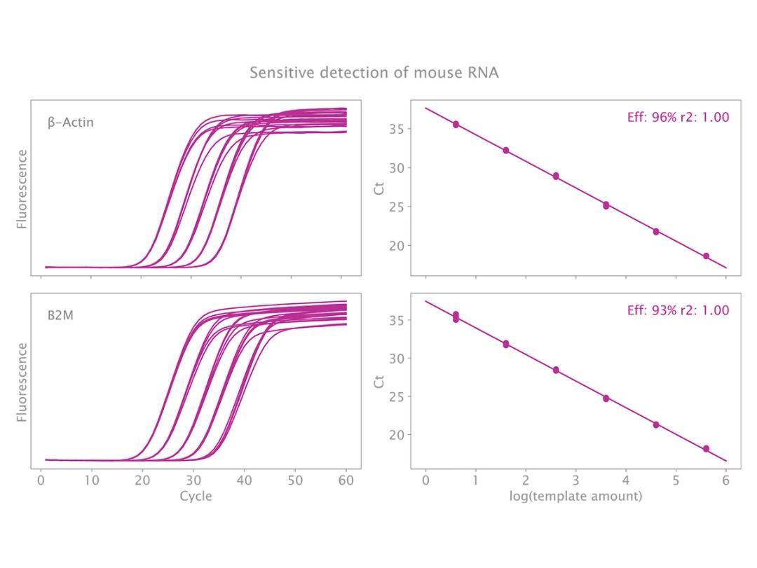 Sensitive detection of mouse RNA