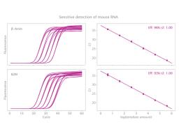 Sensitive detection of mouse RNA