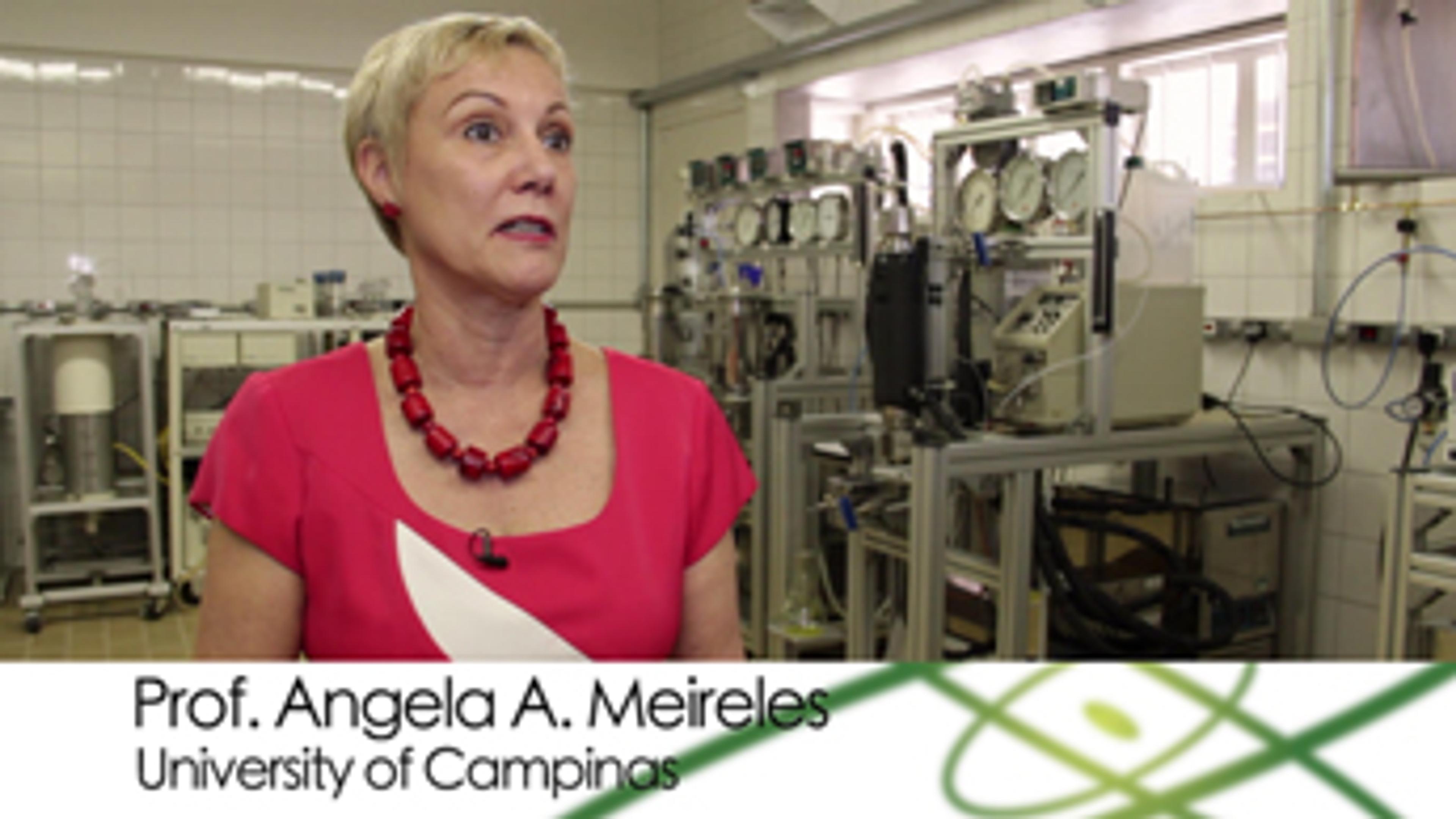 Brazilian Plants Provide Bioactive Ingredients for Food Production: Prof Angela A. Meireles, University of Campinas Brazilian Plants Provide Bioactive Ingredients for Food Production: Prof Angela A. Meireles, University of Campinas