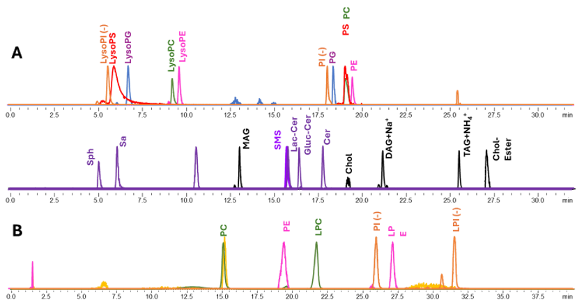 Chromatographic separation of lipid classes