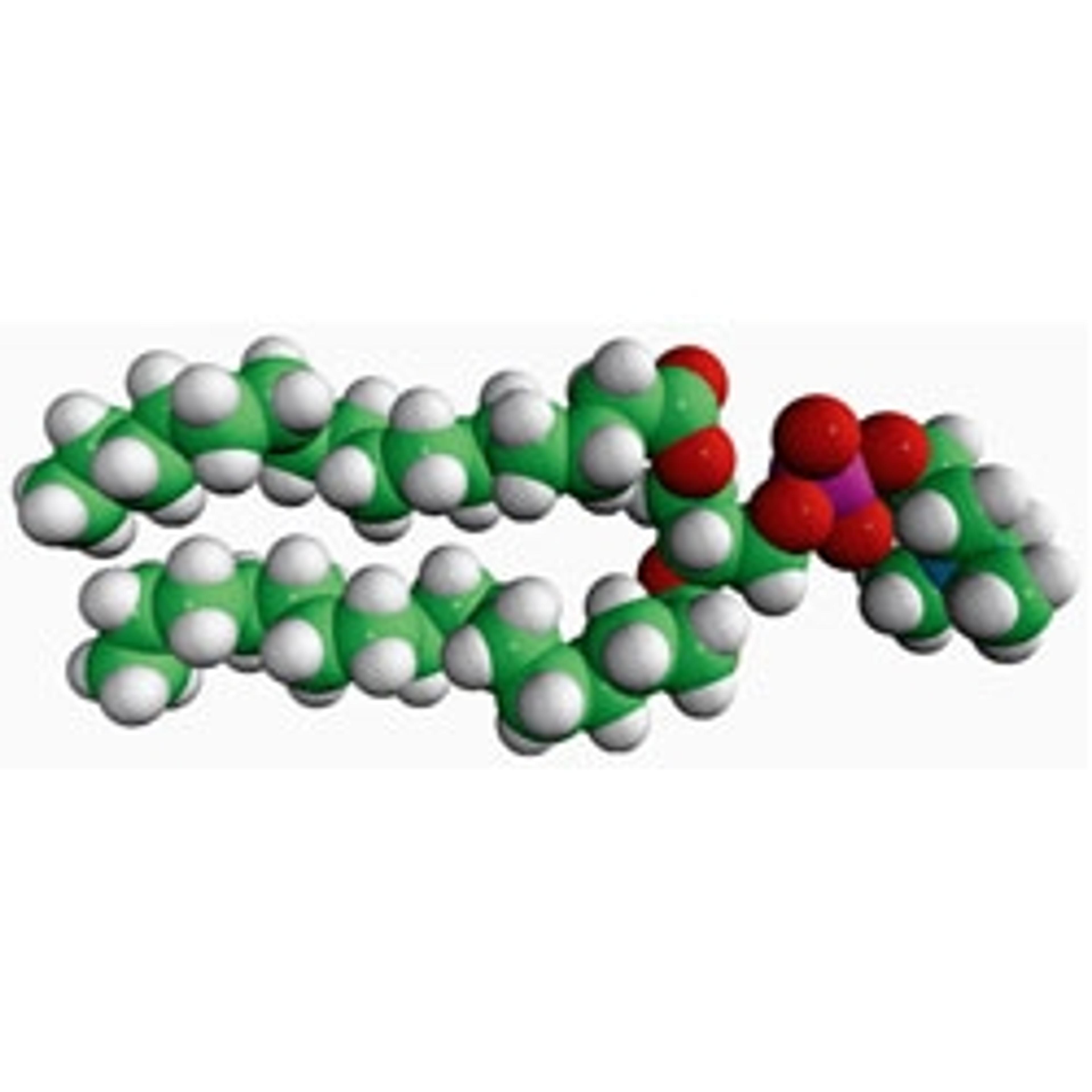 16:0 PC (DPPC) 1,2-dipalmitoyl-sn-glycero-3-phosphocholine,