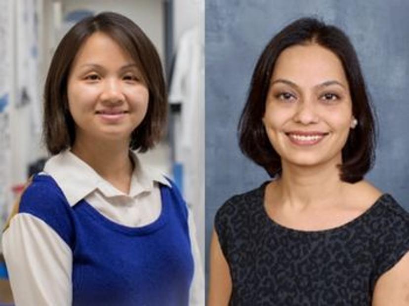 Dr. Yu Holly Chen, Assistant Professor, University of Alabama at Birmingham, and Dr. Rinki Ratnapriya, Assistant Professor, Baylor College of Medicine