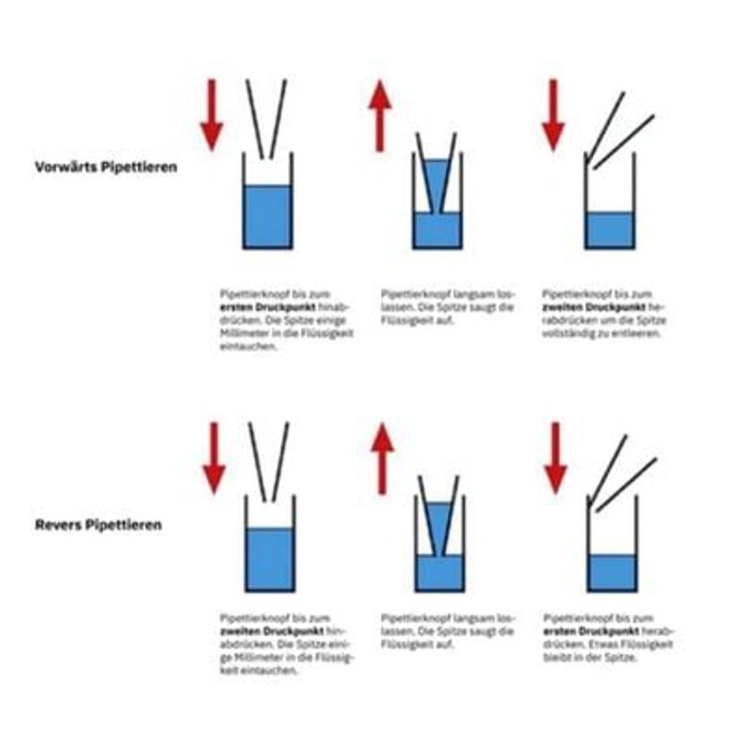Obtaining more correct results with reverse pipetting. Graphic: © Starlab International GmbH