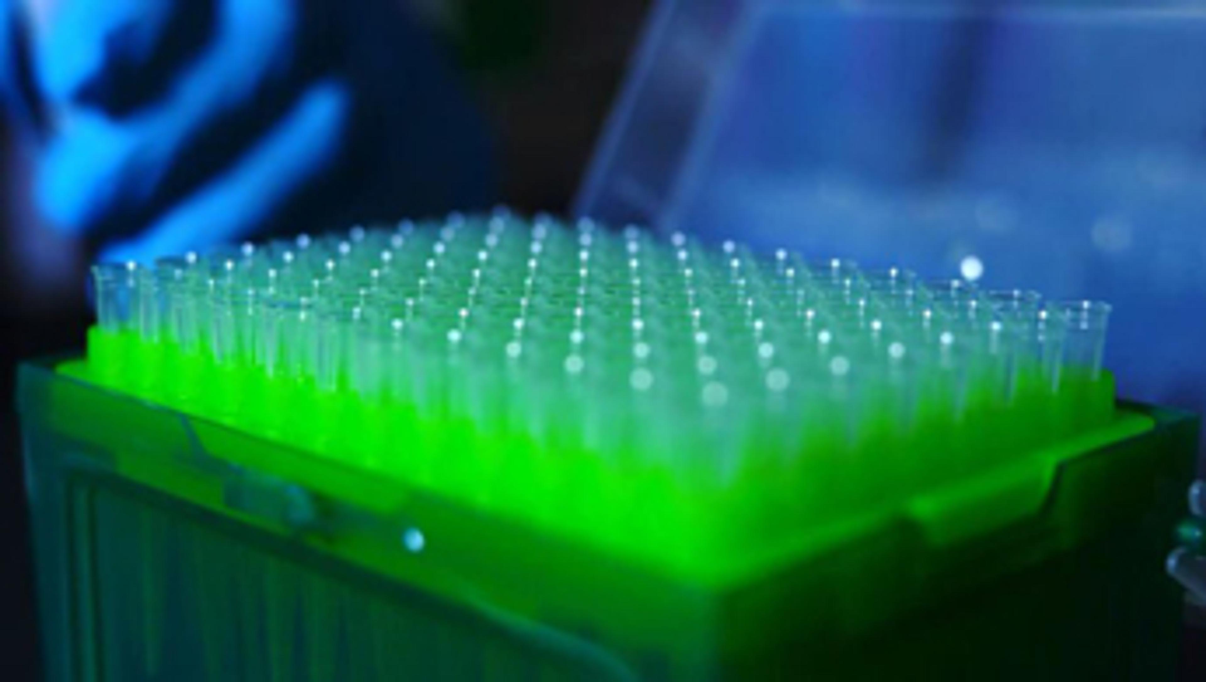 Vertex™ Pipette Tips from SSI Vertex™ Pipette Tips from SSI
