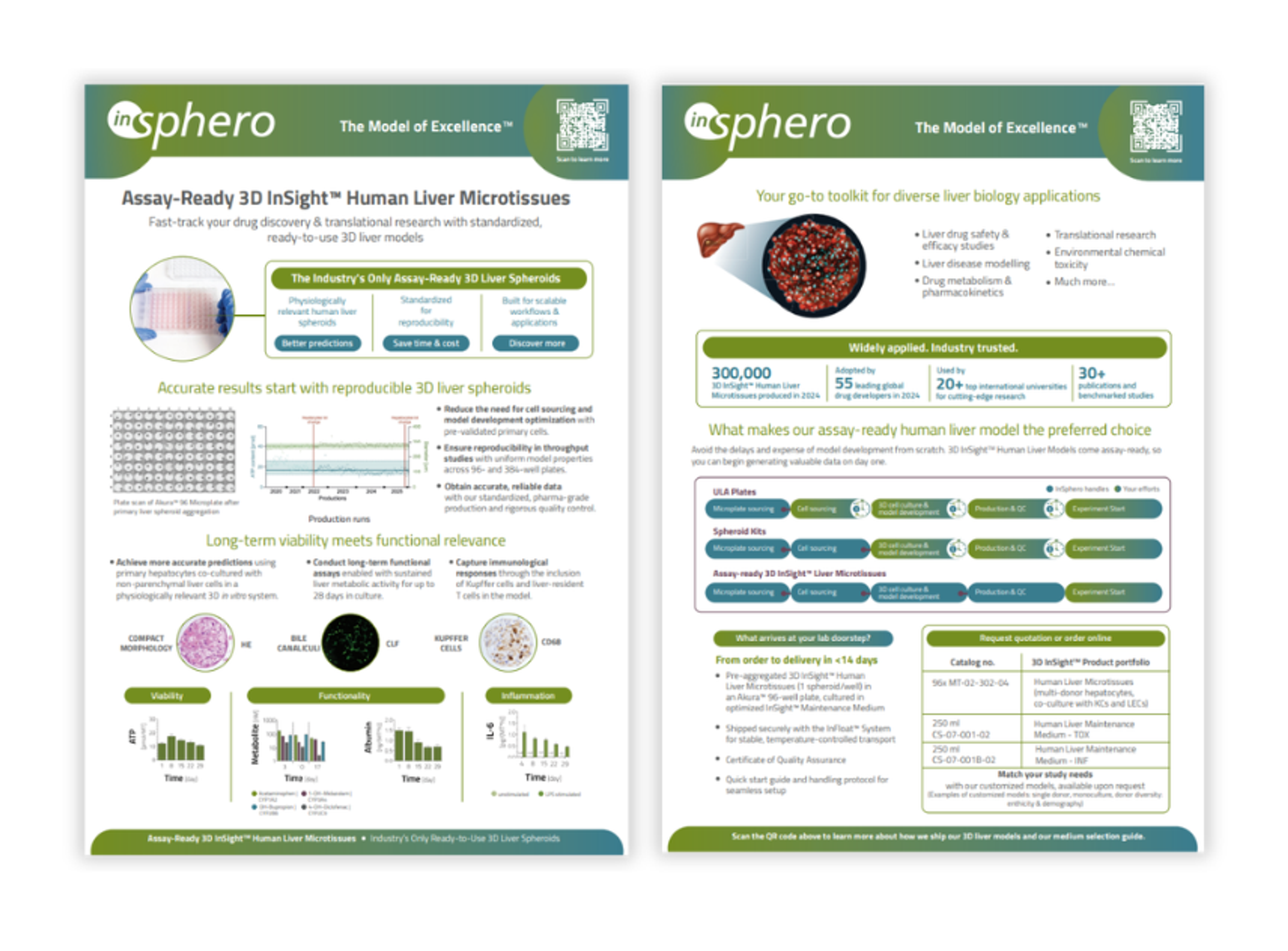 Human liver spheroids in microplate for drug testing