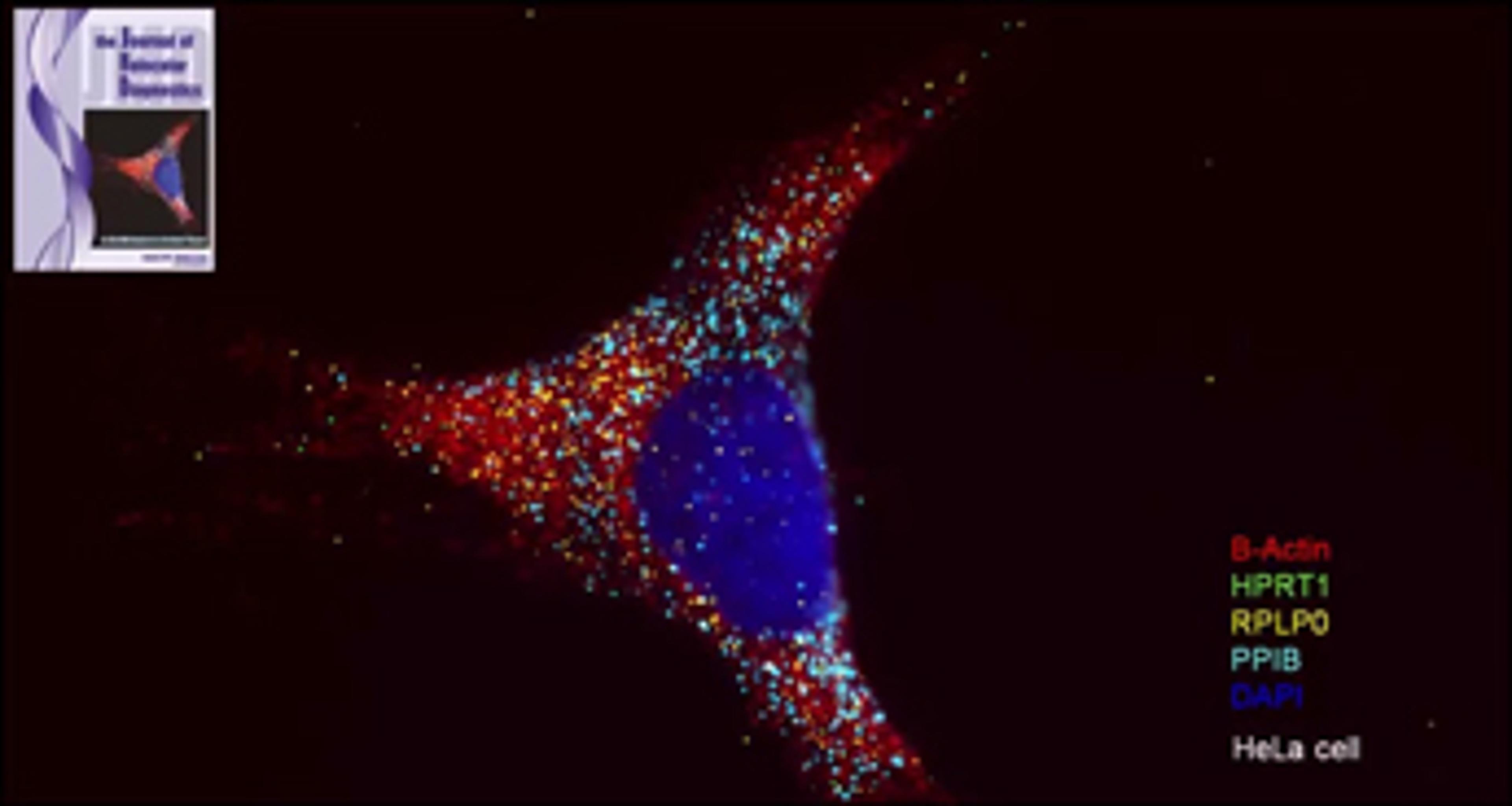 RNAscope® from ACD: A Novel Breakthrough RNA In Situ Hybridization Platform RNAscope® from ACD: A Novel Breakthrough RNA In Situ Hybridization Platform