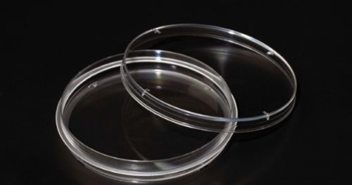 Tissue Culture Treated Dishes