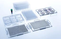 384-Well BiO Assay Kit