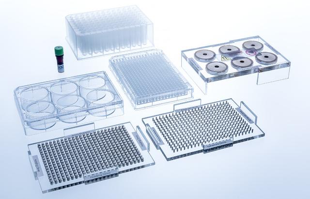 Buy BiO Assay Kits for 3D cell culture & n3Dock Imaging System Read Reviews
