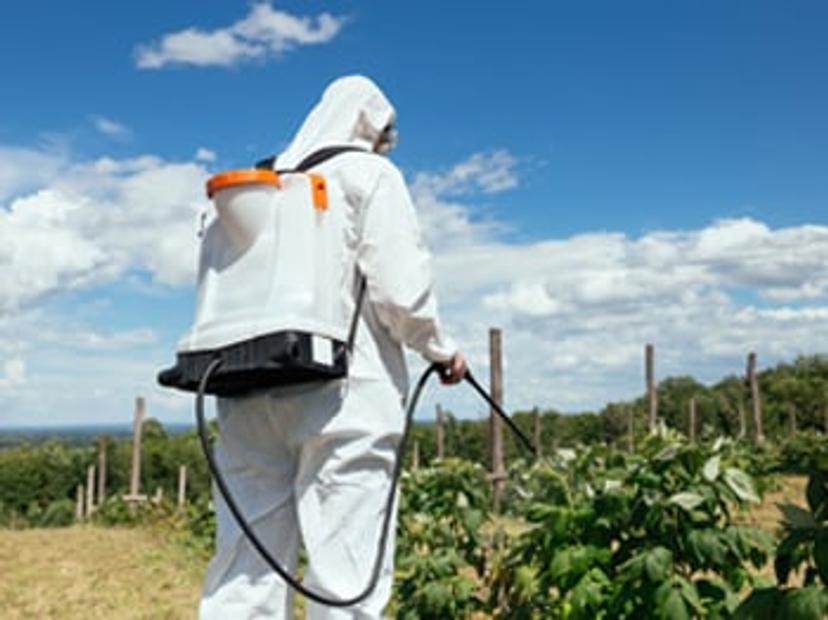 Pesticides being applied to crops