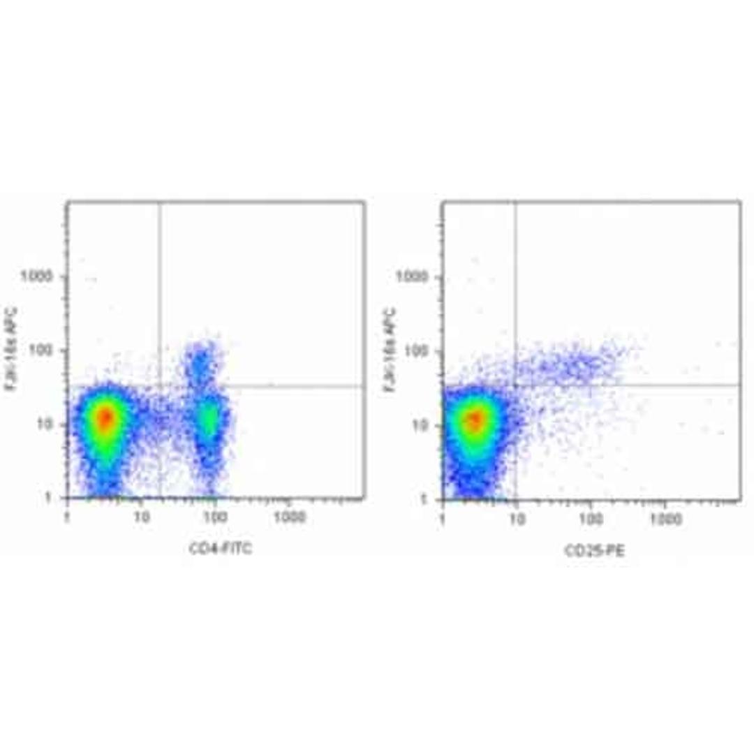 Data for Anti-Mouse/Rat Foxp3 Staining Set APC