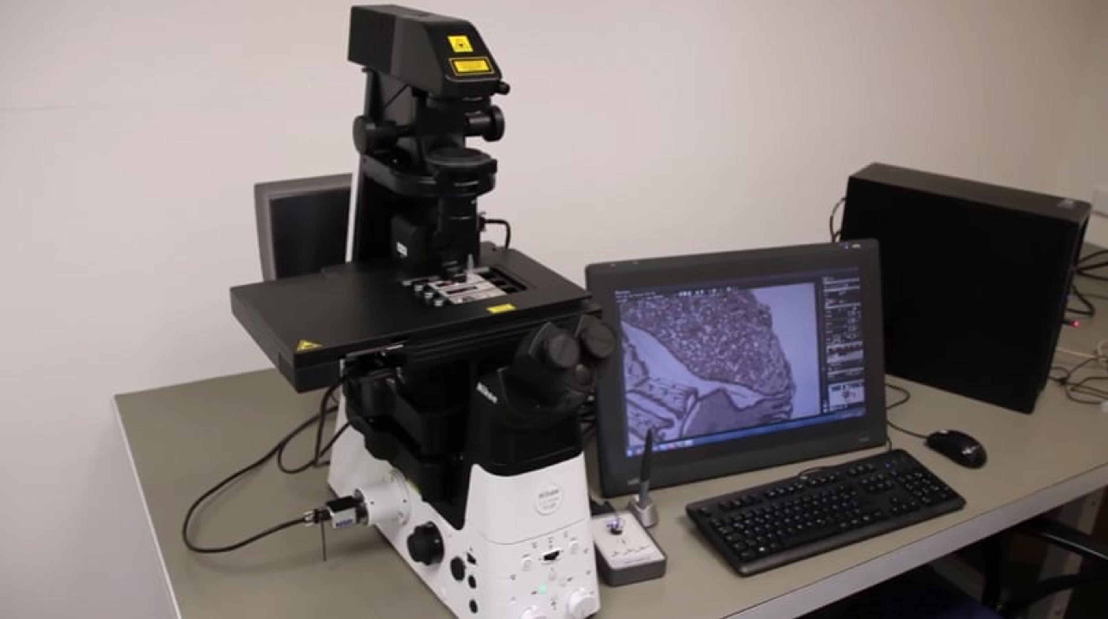 MMI CellScan: Next Generation Laser Microdissection MMI CellScan: Next Generation Laser Microdissection