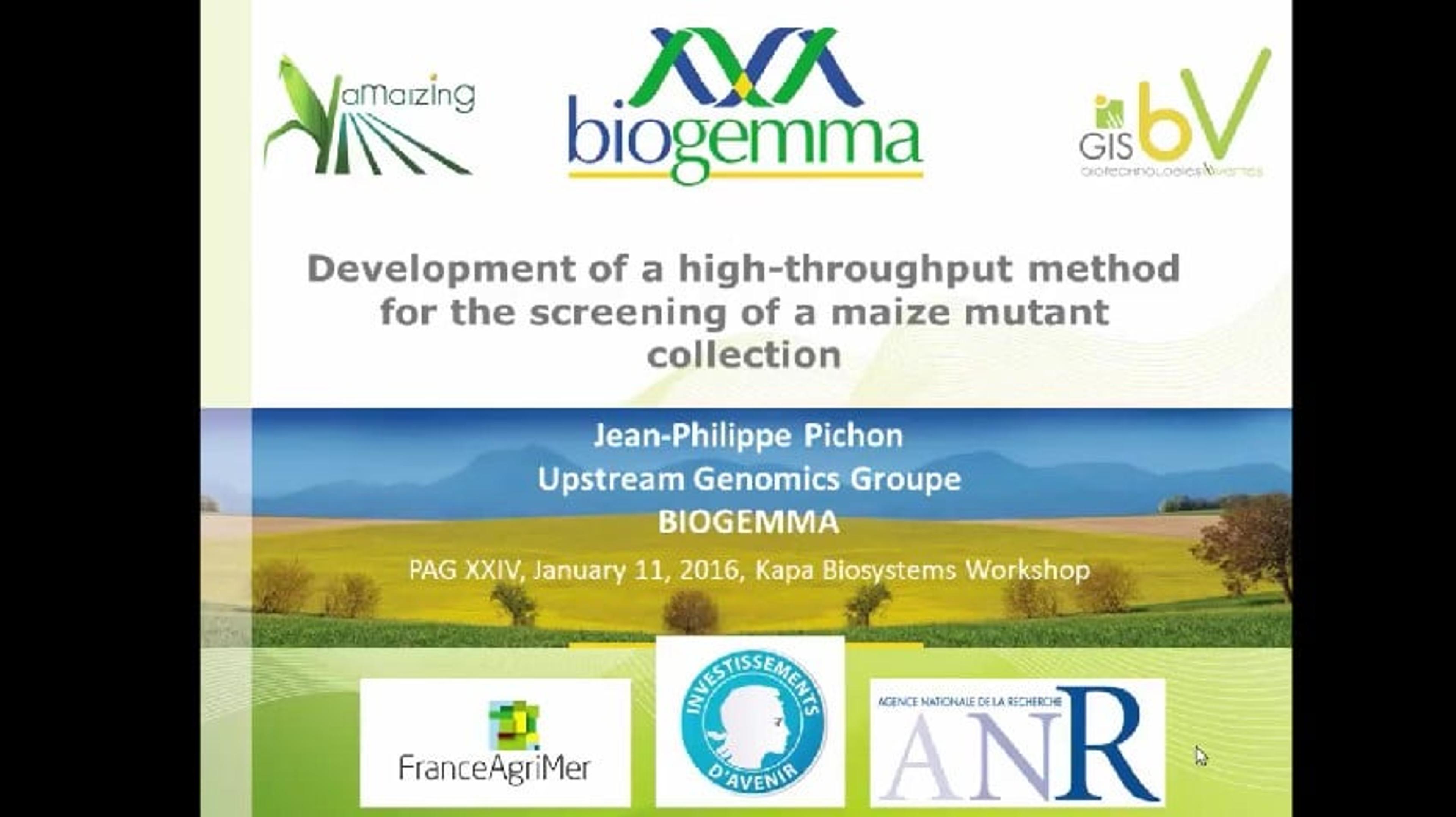Development of a High Throughput Method for the Screening of a Maize Mutant Collection HD Development of a High Throughput Method for the Screening of a Maize Mutant Collection HD